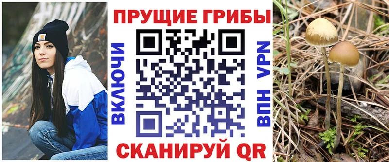 Псилоцибиновые грибы Magic Shrooms  как найти   Вышний Волочёк 